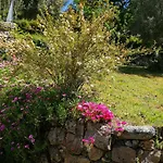 Casas De Alvite Гостевой дом Серва