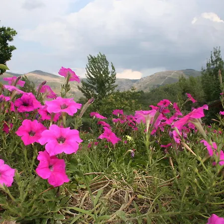 Casas De Alvite 게스트하우스 Cerva