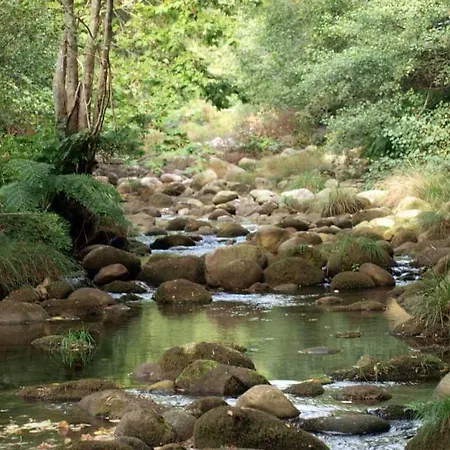 게스트하우스 Casas De Alvite 3*