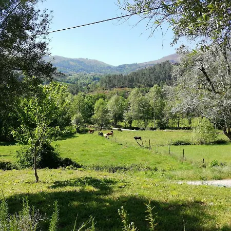 게스트하우스 Casas De Alvite