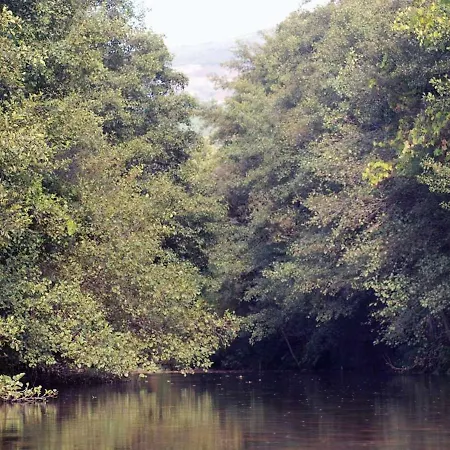 卡萨斯德阿尔维特旅馆 3* Cerva