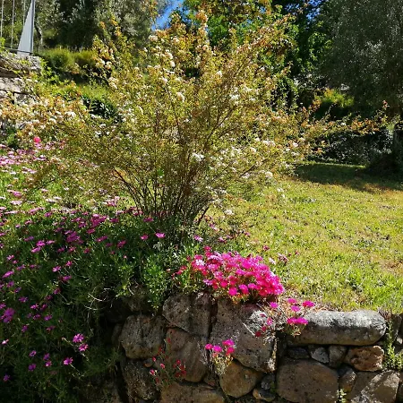 Casas De Alvite Casa de hóspedes Cerva