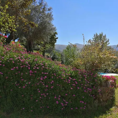 Gasthof Casas De Alvite Cerva