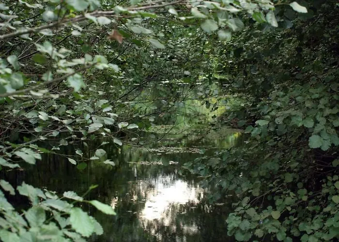 Casas De Alvite 3* Cerva