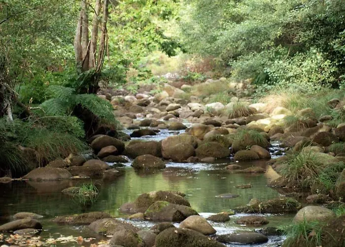 招待所 卡萨斯德阿尔维特旅馆 3*
