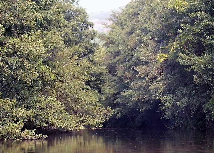 卡萨斯德阿尔维特旅馆 3* Cerva