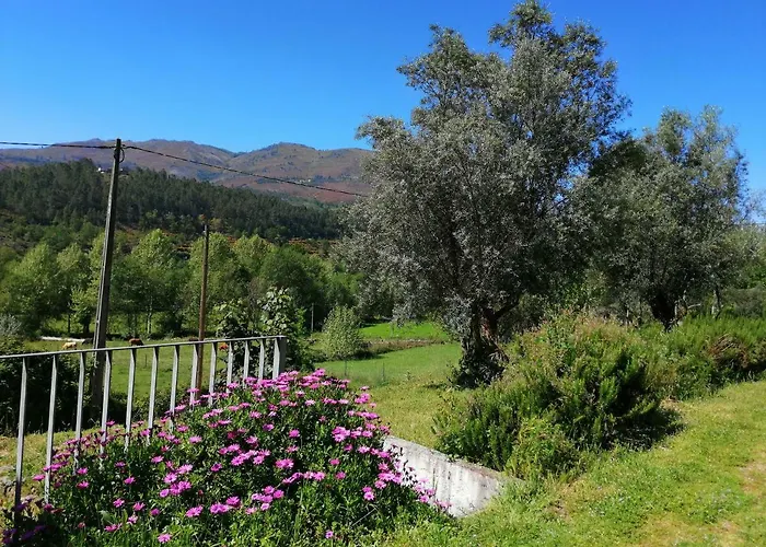 Pensión Casas De Alvite Cerva