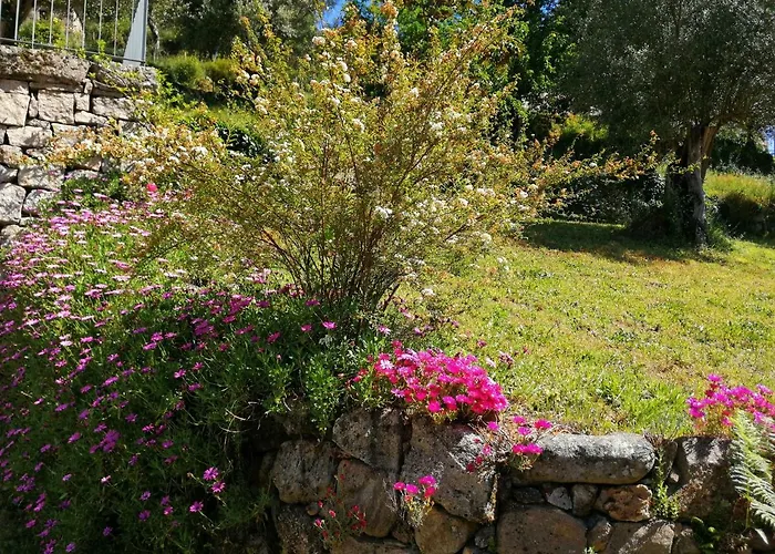 Casas De Alvite Konukevi Cerva