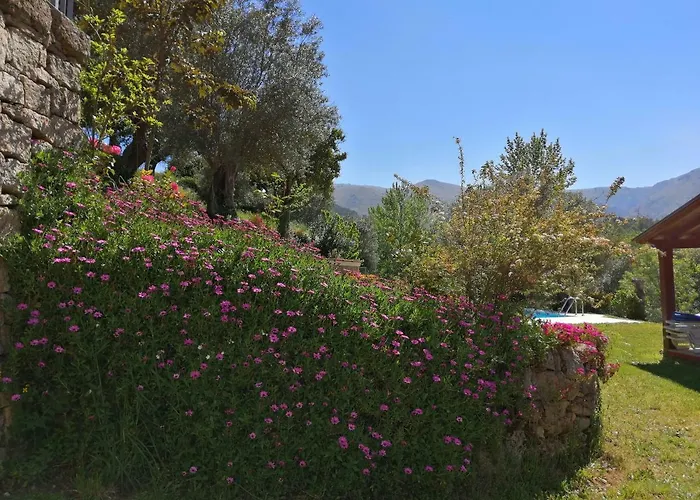 Konukevi Casas De Alvite Cerva